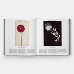 Plant: Exploring the Botanical World, Compact Format