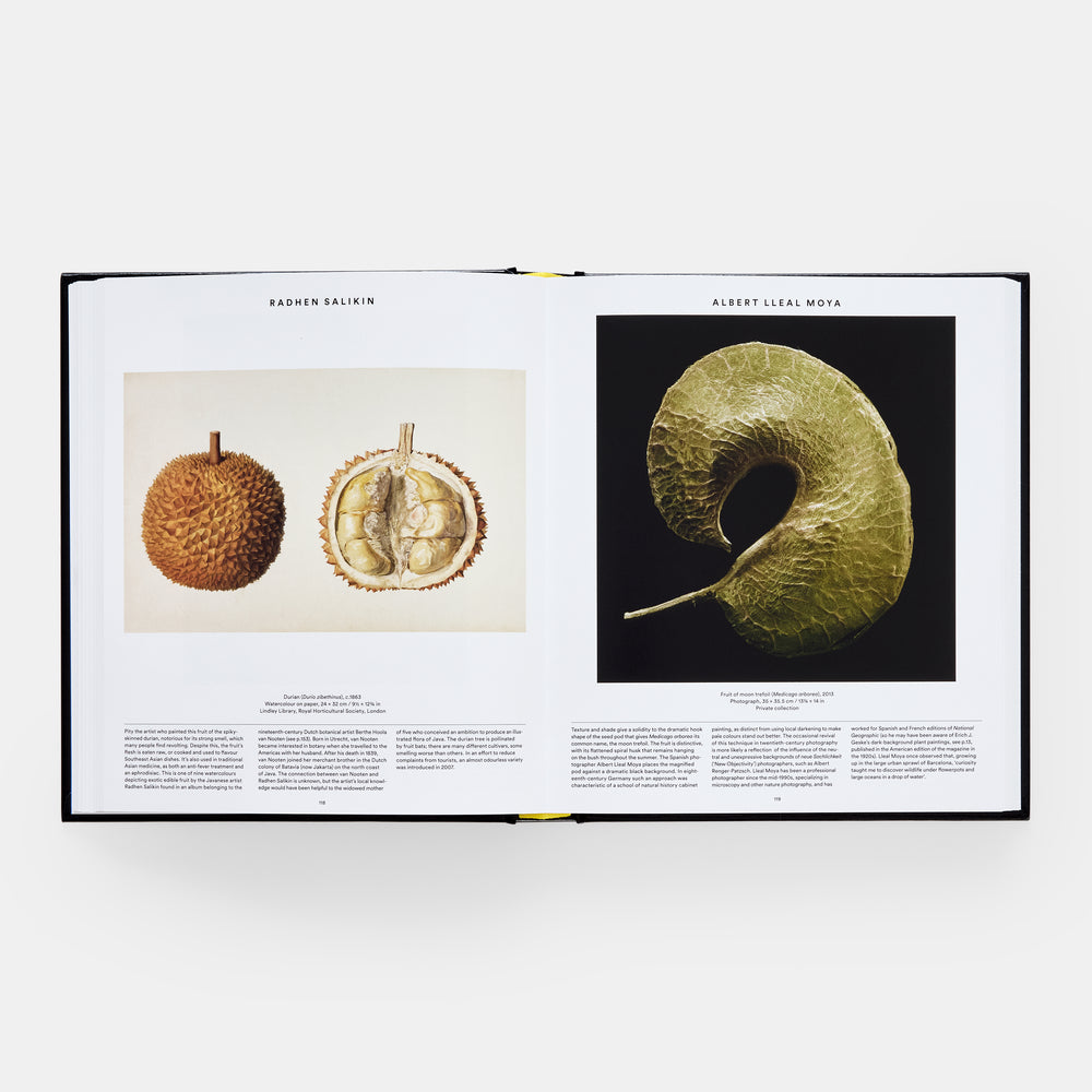 Plant: Exploring the Botanical World, Compact Format