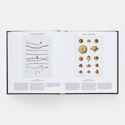 Plant: Exploring the Botanical World, Compact Format