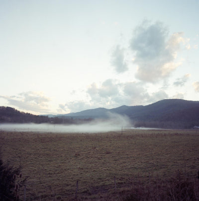 Untitled (American Morning)