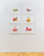 Flower Color Theory