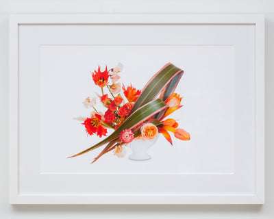 Flower Color Theory