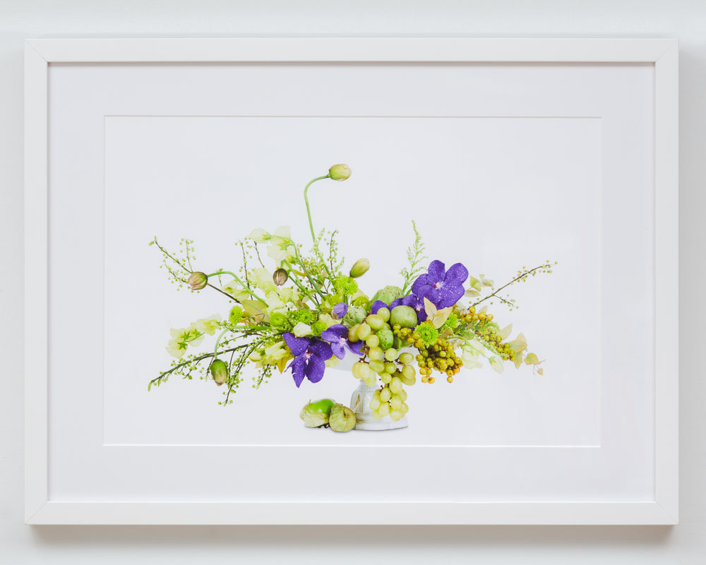 Flower Color Theory