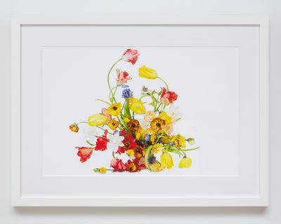 Flower Color Theory