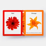 Rainbows in Bloom: Discovering Colours with Flowers