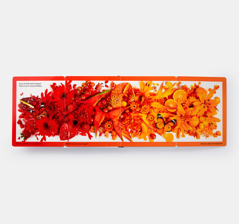 Rainbows in Bloom: Discovering Colours with Flowers