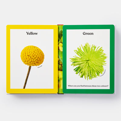 Rainbows in Bloom: Discovering Colours with Flowers