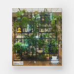 Rashid Johnson