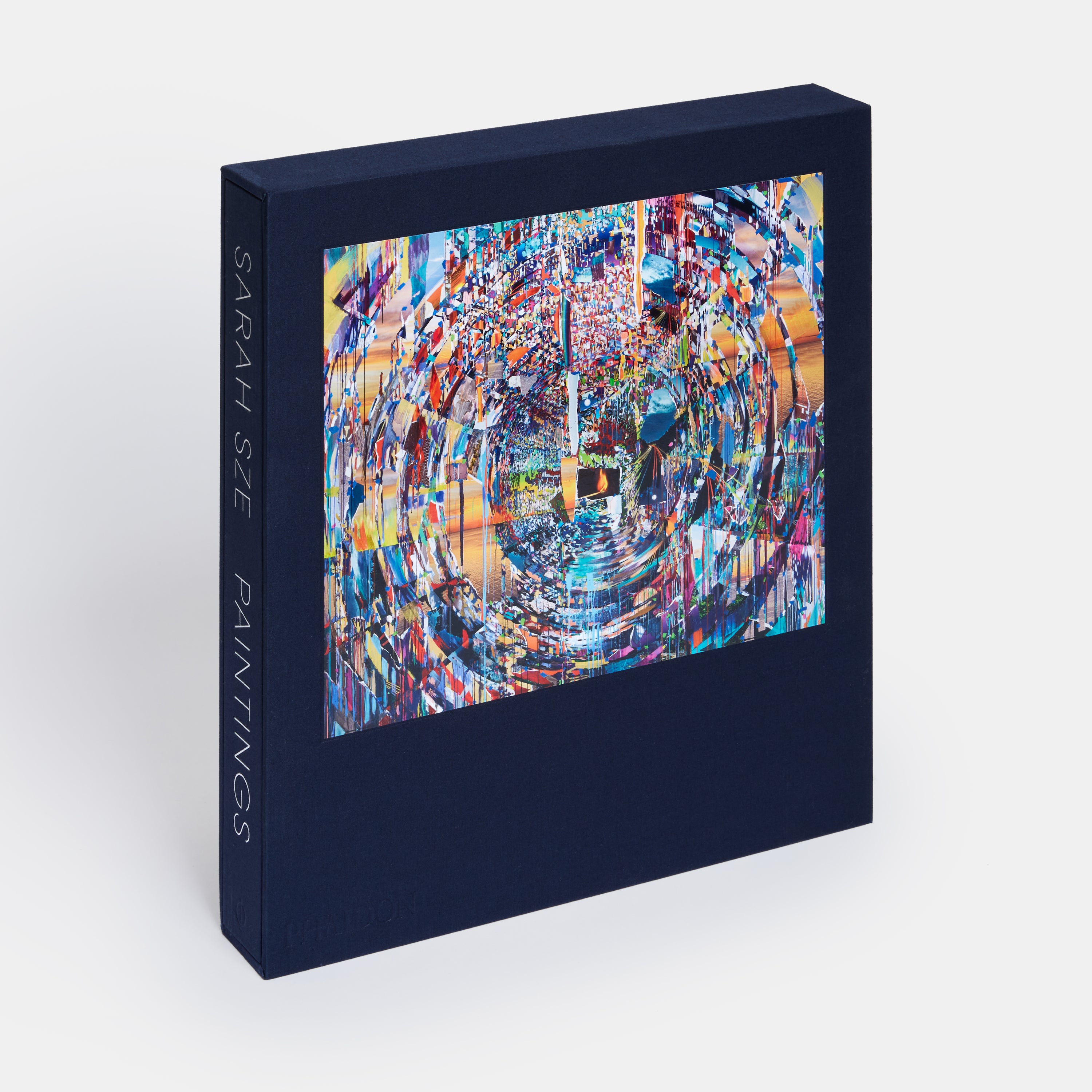 Sarah Sze: Paintings | Standard Edition | 9781838665623 – Phaidon
