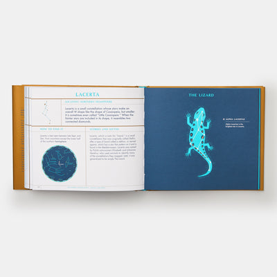 Seeing Stars: A Complete Guide to the 88 Constellations