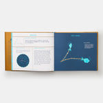 Seeing Stars: A Complete Guide to the 88 Constellations