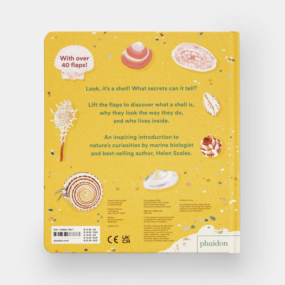 Shells... and what they hide inside: A Lift-the-Flap Adventure