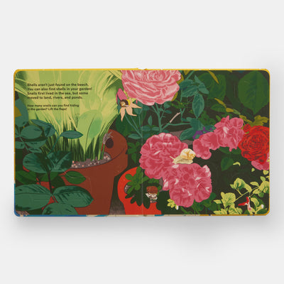 Shells... and what they hide inside: A Lift-the-Flap Adventure