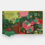 Shells... and what they hide inside: A Lift-the-Flap Adventure