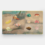 Shells... and what they hide inside: A Lift-the-Flap Adventure