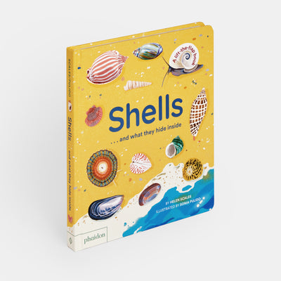 Shells... and what they hide inside: A Lift-the-Flap Adventure