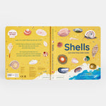 Shells... and what they hide inside: A Lift-the-Flap Adventure