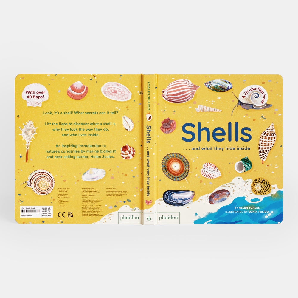 Shells... and what they hide inside