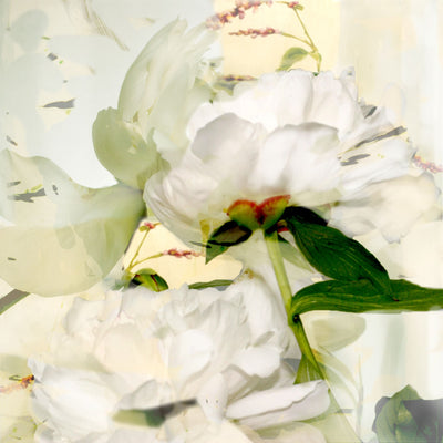 Poetry of Petals #4