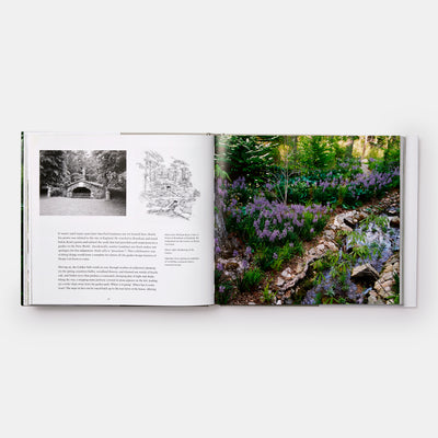 Sleepy Cat Farm: A Gardener's Journey