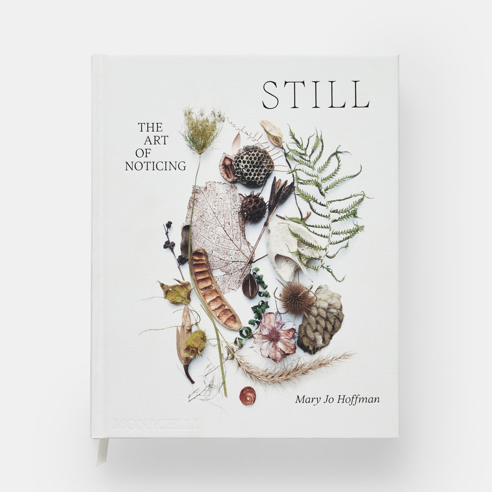 STILL: The Art of Noticing