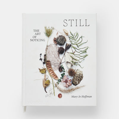 STILL: The Art of Noticing