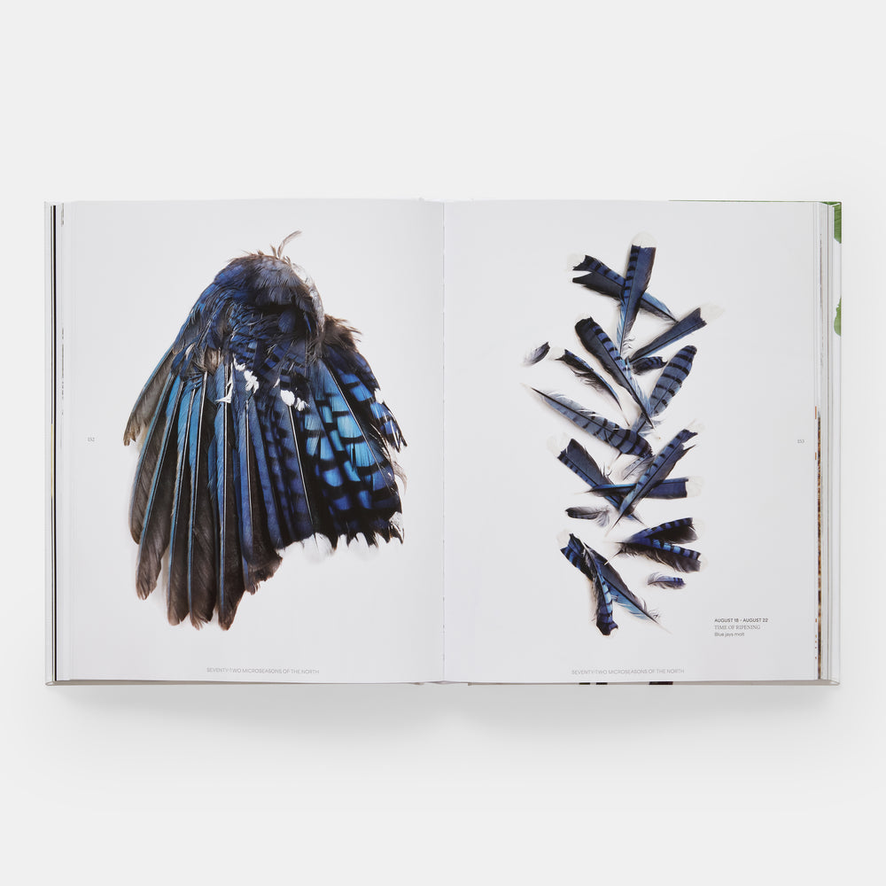 STILL: The Art of Noticing