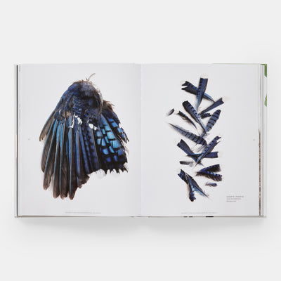 STILL: The Art of Noticing