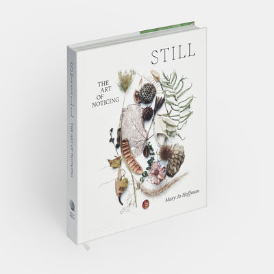 STILL: The Art of Noticing