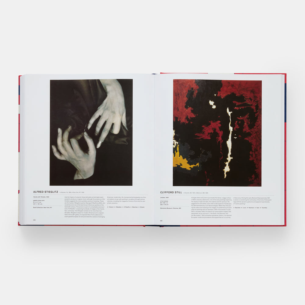 The American Art Book