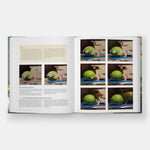 The Art of Still Life: A Contemporary Guide to Classical Techniques, Composition, and Painting in Oil