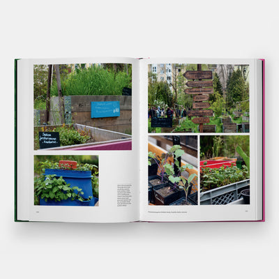 The Kitchen Garden