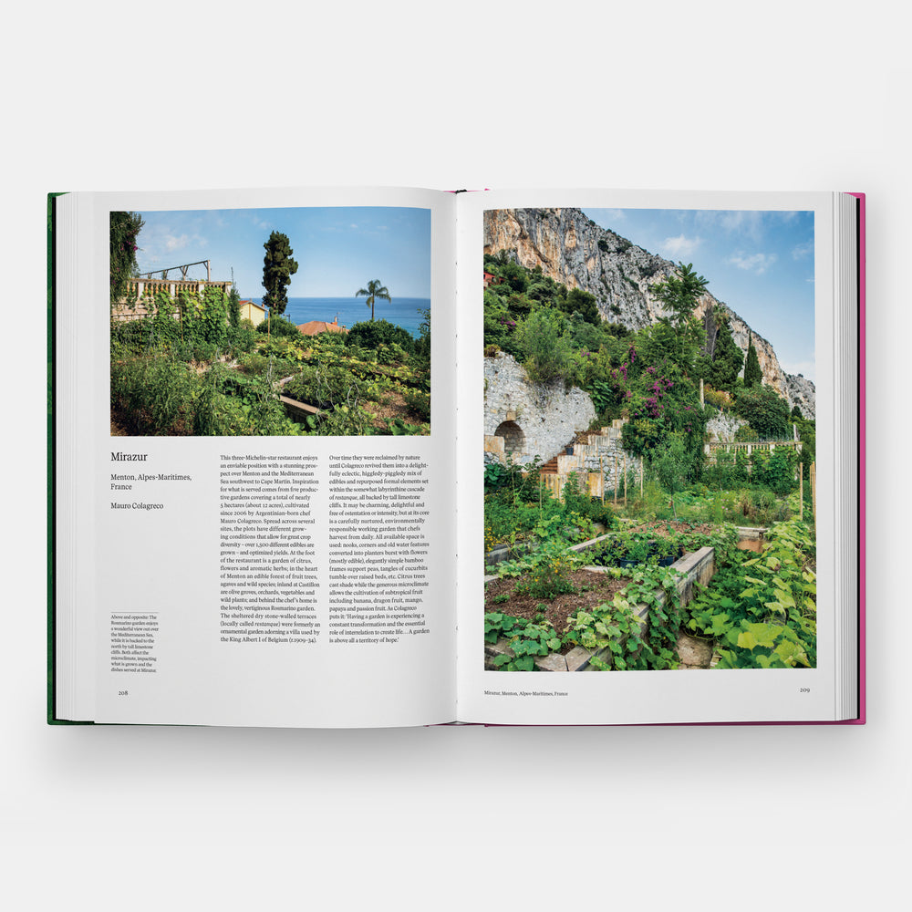 The Kitchen Garden