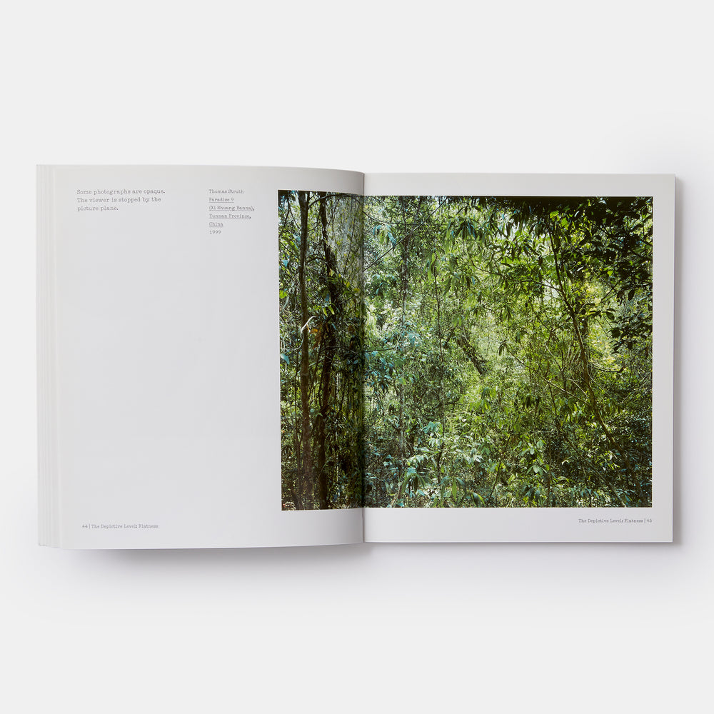 The Nature of Photographs