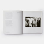 The Nature of Photographs