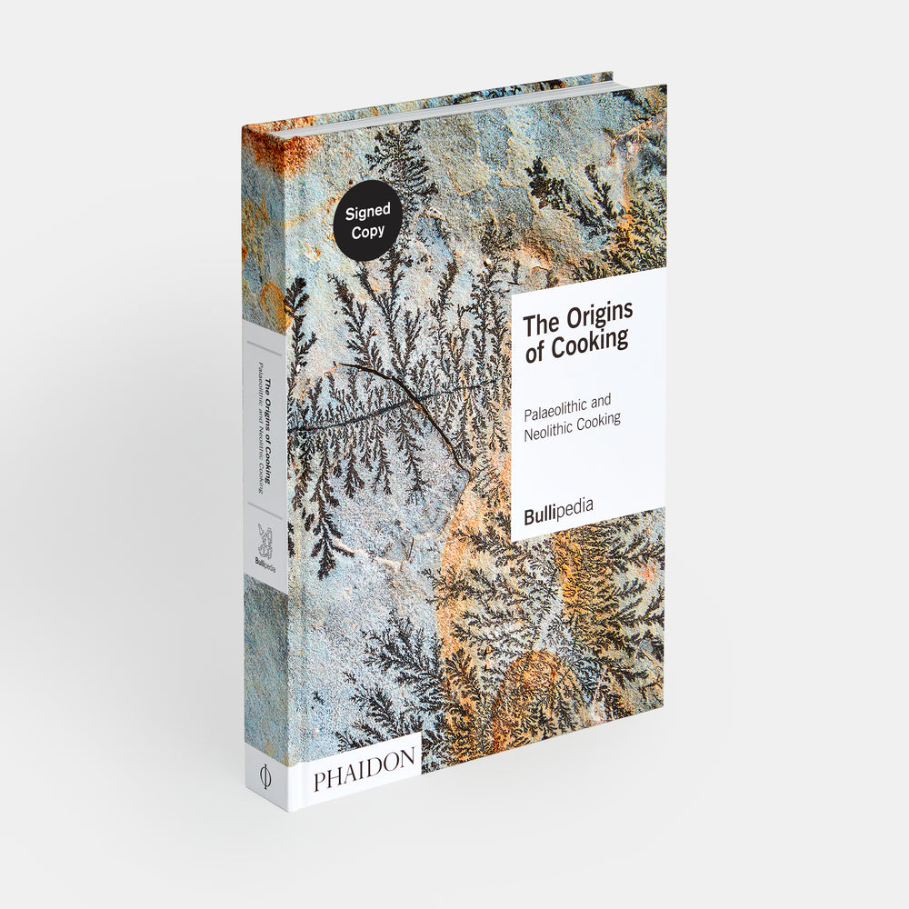 The Origins of Cooking: Palaeolithic and Neolithic Cooking