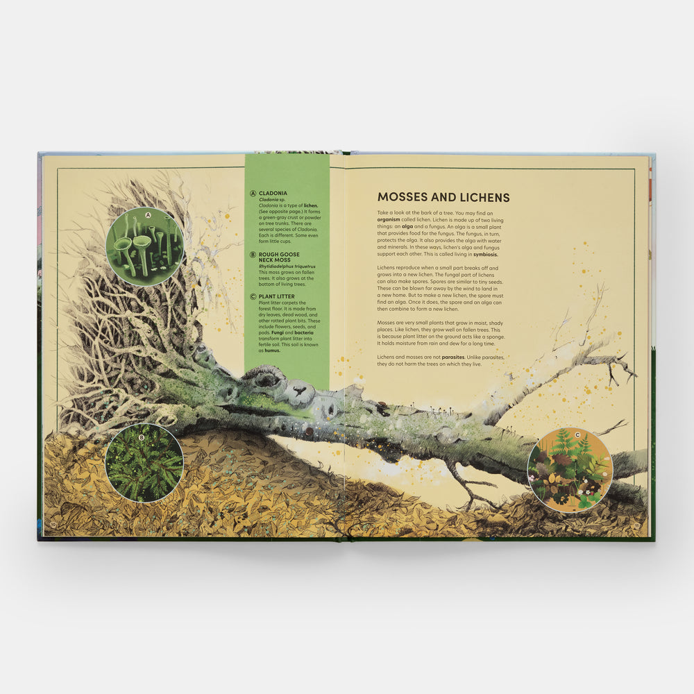 The Tomorrow Tree: How Nature Creates New Life From Old