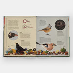 The Tomorrow Tree: How Nature Creates New Life From Old