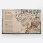 The Tomorrow Tree: How Nature Creates New Life From Old interior spread 4