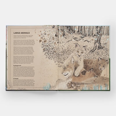 The Tomorrow Tree: How Nature Creates New Life From Old interior spread 4