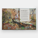 The Tomorrow Tree: How Nature Creates New Life From Old interior spread 6