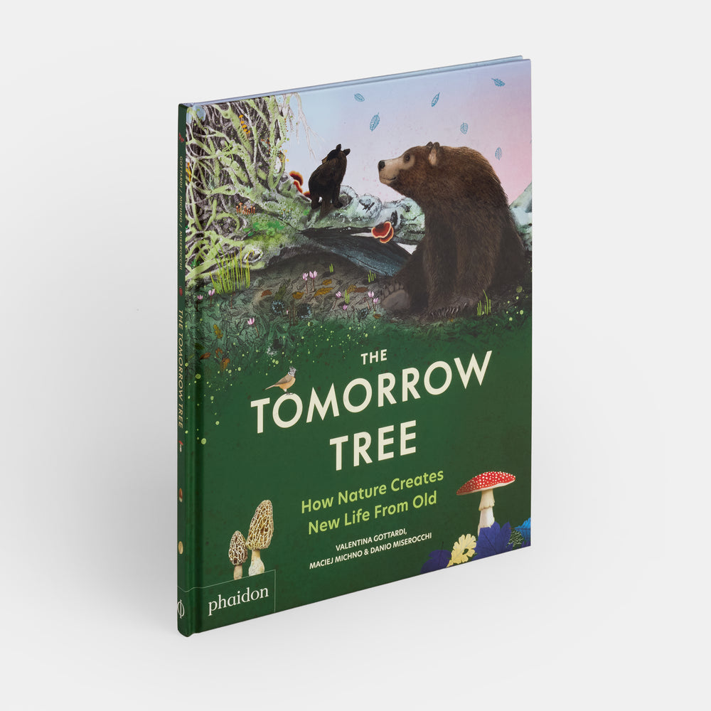 The Tomorrow Tree: How Nature Creates New Life From Old | 9781837290284
