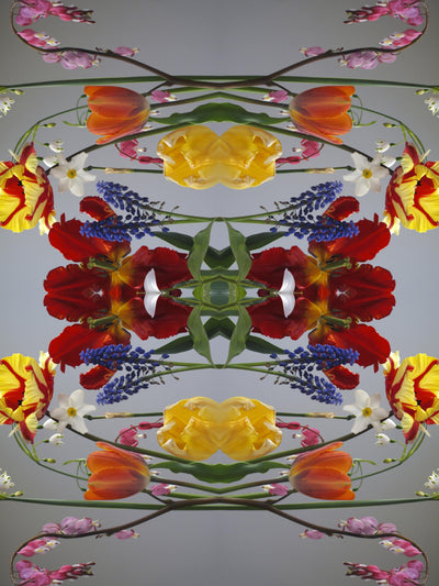 May, The Four Seasons