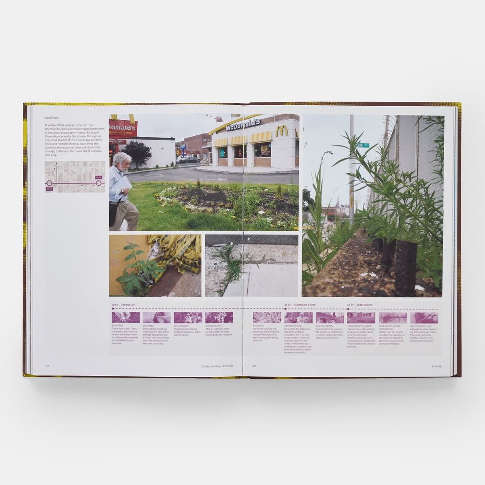 Toward an Urban Ecology