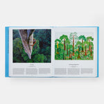 Tree: Exploring the Arboreal World