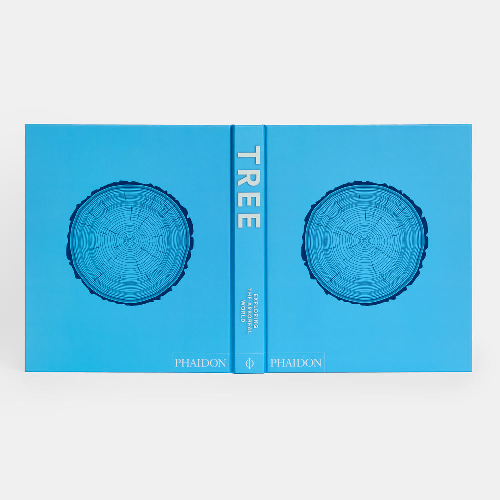 Tree: Exploring the Arboreal World