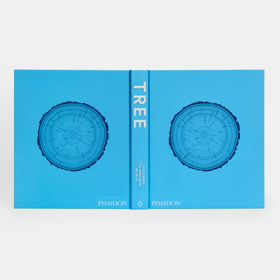 Tree: Exploring the Arboreal World