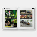 Unelaborated Products: Definition and Classification