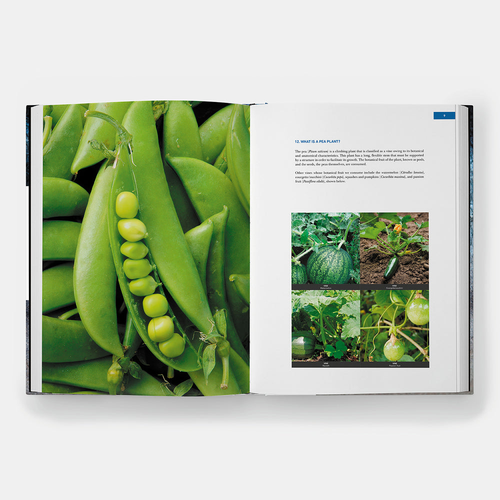 Unelaborated Products: Definition and Classification