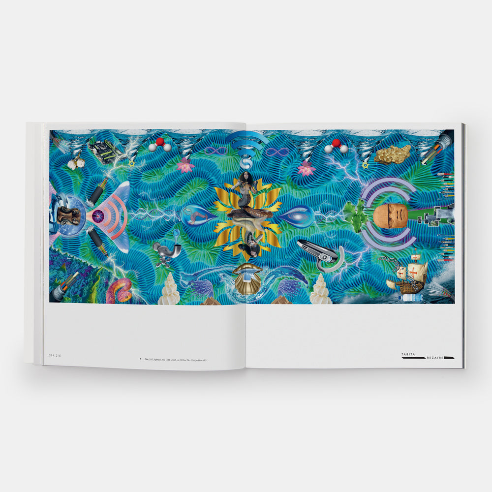 Vitamin C+: Collage in Contemporary Art